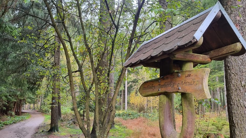 Foto: Irena Šarounová,  Český rozhlas