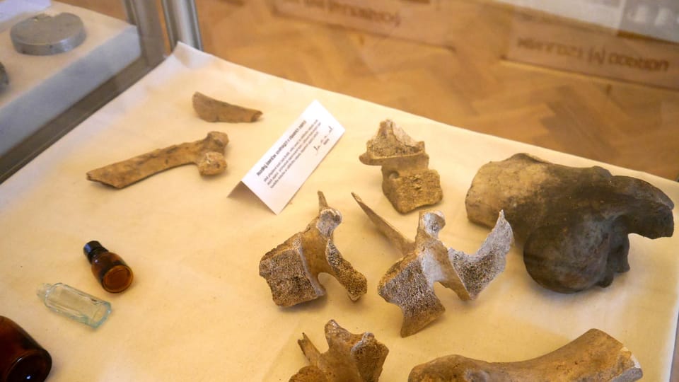Foto: z výstavy Nacistické lágry optikou archeologie Foto: z výstavy Nacistické lágry optikou archeologie