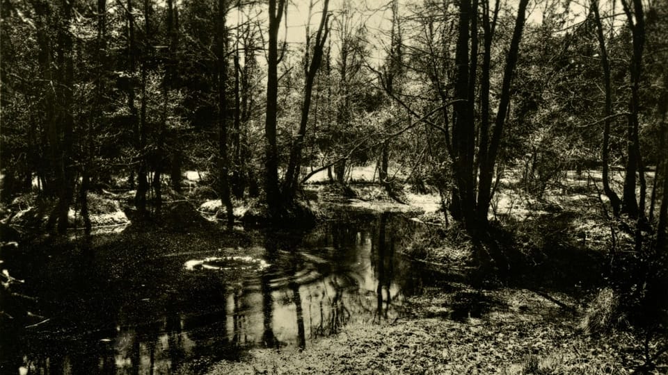 Rusalčino jezírko | Foto: Výstava 'Antonín Dvořák - Inspirace přírodou'/Národní muzeum Rusalčino jezírko | Foto: Výstava 'Antonín Dvořák - Inspirace přírodou'/Národní muzeum