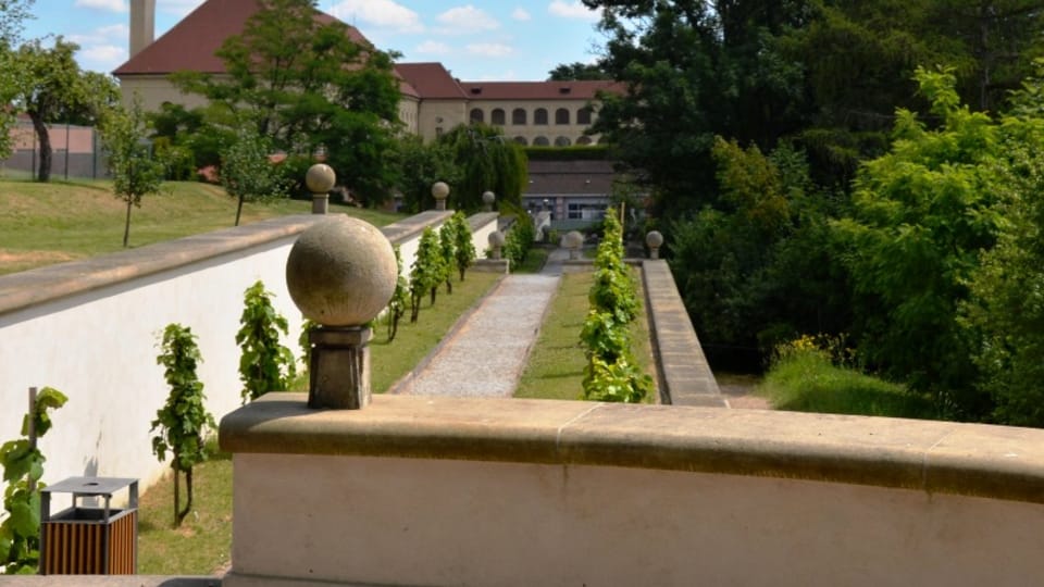 Nejhezčí cesta na Masarykovu vyhlídku vede obnovenou vinicí | Foto: Jolana Nováková,  Český rozhlas