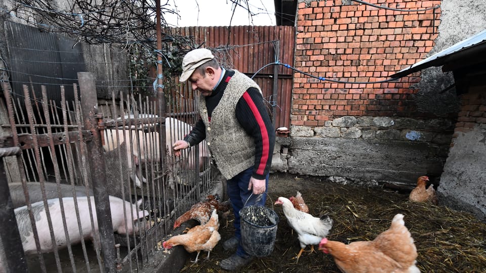 Karel Karbul se musí prakticky celý den starat o malé rodinné hospodářství | Foto: Břetislav Tureček Karel Karbul se musí prakticky celý den starat o malé rodinné hospodářství | Foto: Břetislav Tureček
