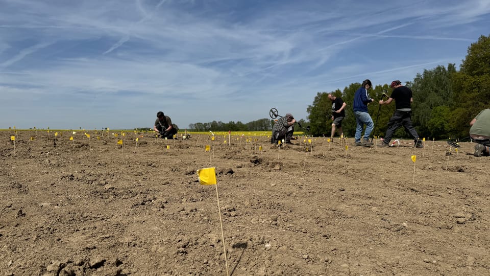 Během detektorové prospekce si archeologové všechna místa nálezu mincí průběžně označovali žlutými praporky | Foto: Archeologický ústav AV ČR Během detektorové prospekce si archeologové všechna místa nálezu mincí průběžně označovali žlutými praporky | Foto: Archeologický ústav AV ČR