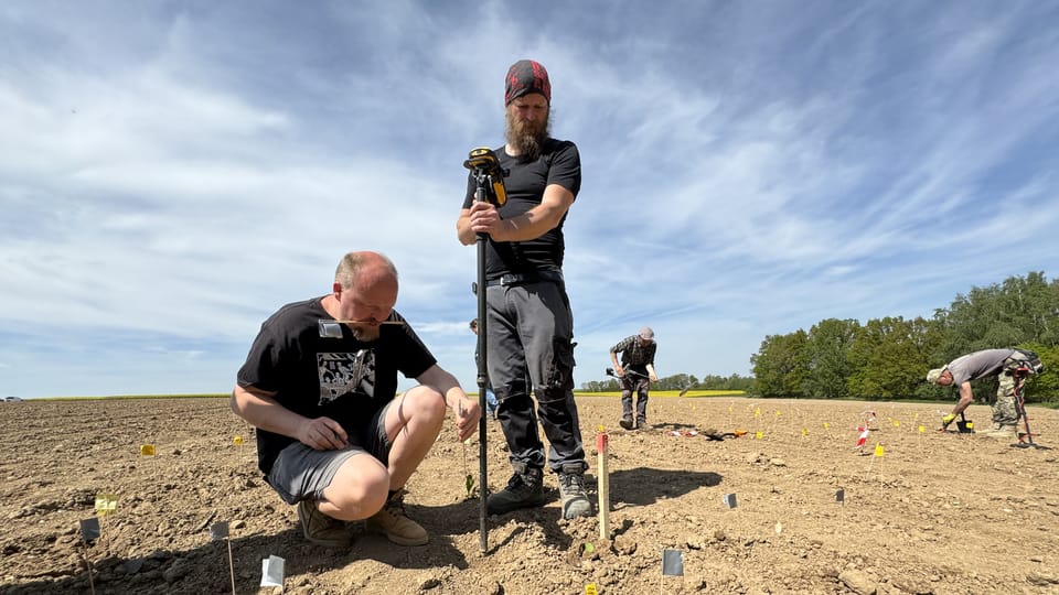 Veškeré na ploše pole roztroušené mince byly po nalezení archeology průběžně označovány žlutými praporky a následně geodeticky zaměřovány | Foto: Archeologický ústav AV ČR Veškeré na ploše pole roztroušené mince byly po nalezení archeology průběžně označovány žlutými praporky a následně geodeticky zaměřovány | Foto: Archeologický ústav AV ČR
