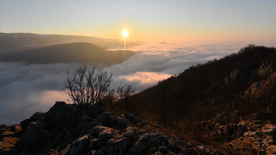 Daní za život v nádherné přírodě nad Dunajem je náročná práce a odlehlost od mnoha služeb a vymožeností běžných ve městě | Foto: Břetislav Tureček