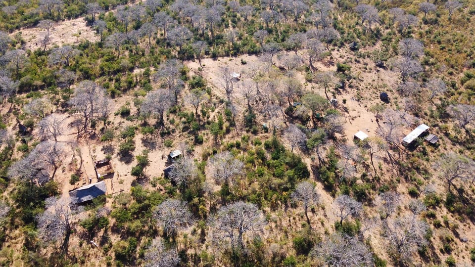 Stromy mungongo vyfocené dronem | Foto: soukromý archiv Kamily Hejlíkové Stromy mungongo vyfocené dronem | Foto: soukromý archiv Kamily Hejlíkové