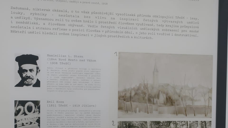 Výstava na zámku v Třešti | Foto: Martina Schneibergová,  Radio Prague International