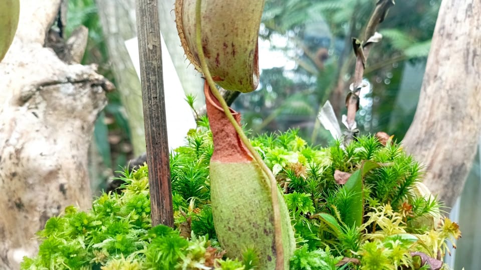 Foto: Výstaviště Flora Olomouc