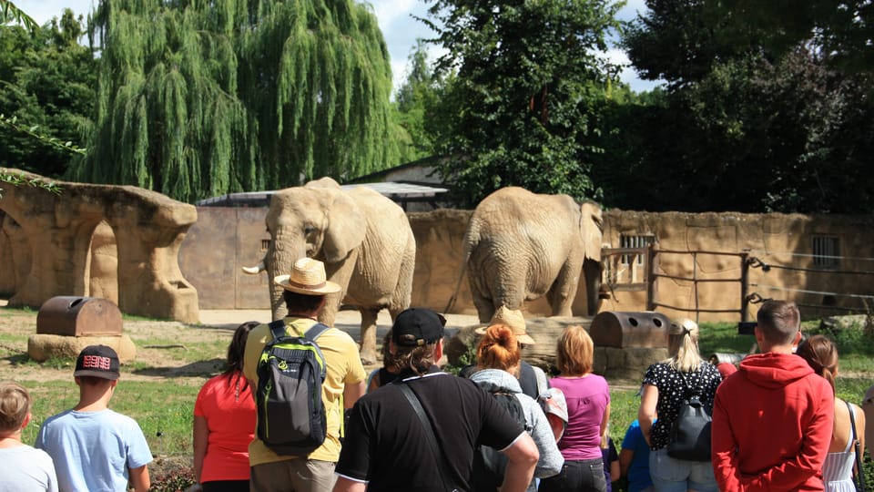 Zoologická zahrada ve Dvoře Králové | Foto: Barbora Němcová,  Radio Prague International