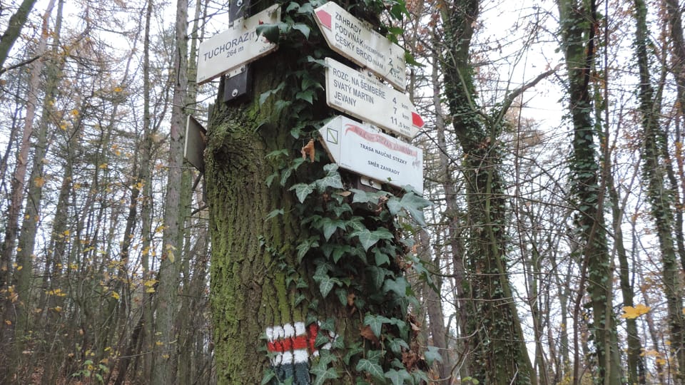Značky Klubu českých turistů, Český Brod | Foto: Juan Pablo Bertazza, Radio Prague International Značky Klubu českých turistů, Český Brod | Foto: Juan Pablo Bertazza, Radio Prague International