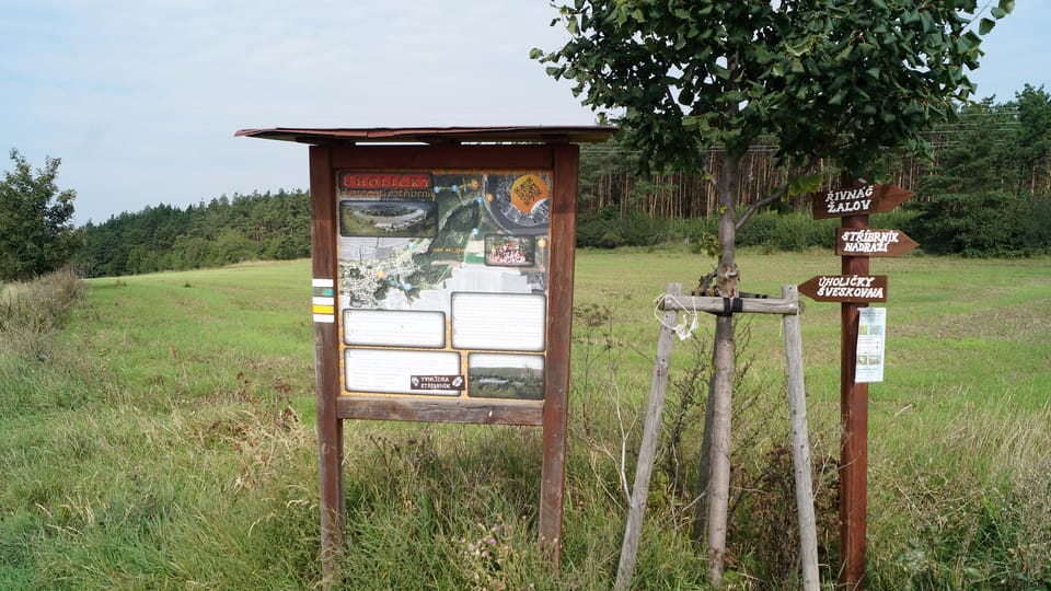 Zastávka naučné stezky mezi Stříbrníkem a Řivnáčem | Foto: Miloš Turek, Radio Prague International Zastávka naučné stezky mezi Stříbrníkem a Řivnáčem | Foto: Miloš Turek, Radio Prague International