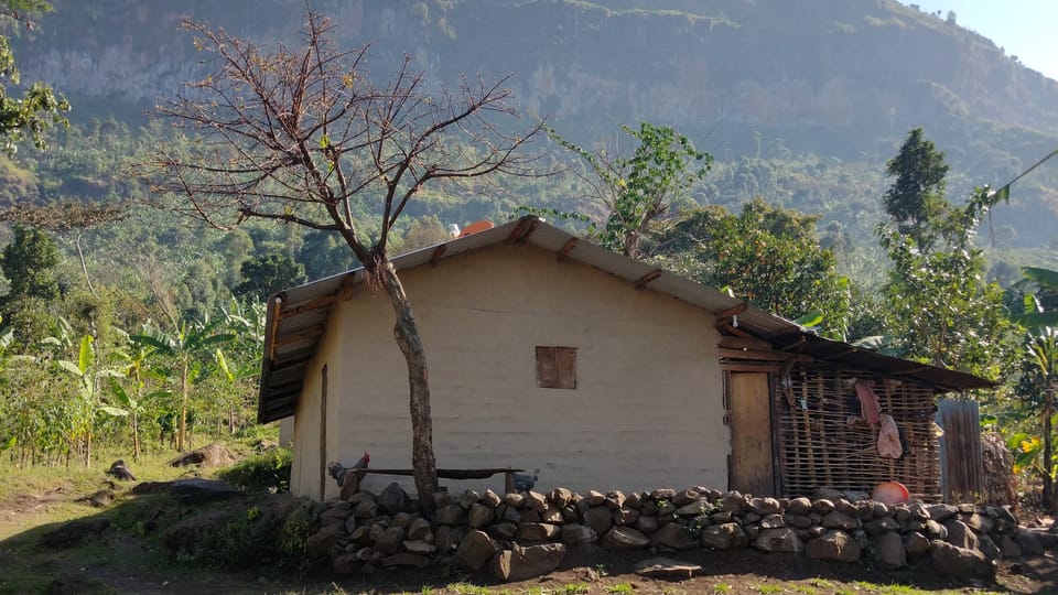 Typický domek v Bukyabo, Sironko, východní Uganda | Foto: Soukromý archiv Dany Siedem Typický domek v Bukyabo, Sironko, východní Uganda | Foto: Soukromý archiv Dany Siedem