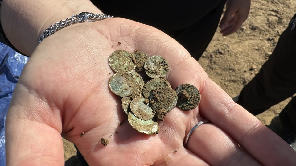 Z ornice čerstvě vyzvednuté stříbrné mince – denáry českých knížat z přelomu 11. a 12. století | Foto: Archeologický ústav AV ČR Z ornice čerstvě vyzvednuté stříbrné mince – denáry českých knížat z přelomu 11. a 12. století | Foto: Archeologický ústav AV ČR