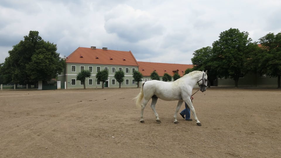 Nádvoří Národního hřebčína Kladruby nad Labem | Foto: Tereza Brázdová, Český rozhlas Nádvoří Národního hřebčína Kladruby nad Labem | Foto: Tereza Brázdová, Český rozhlas