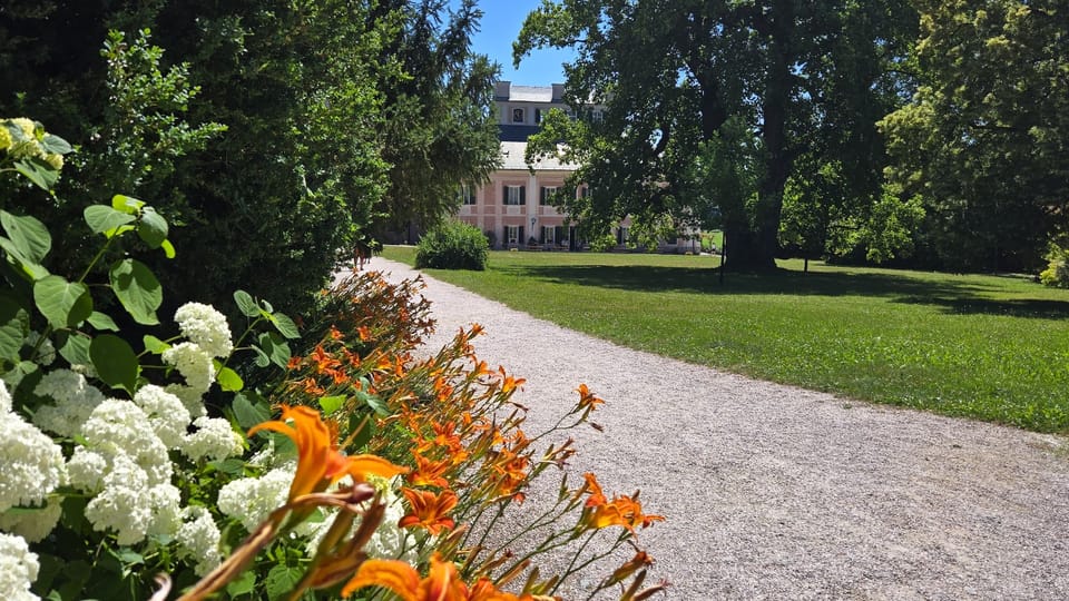 Foto: Vladislava Wildová,  Český rozhlas