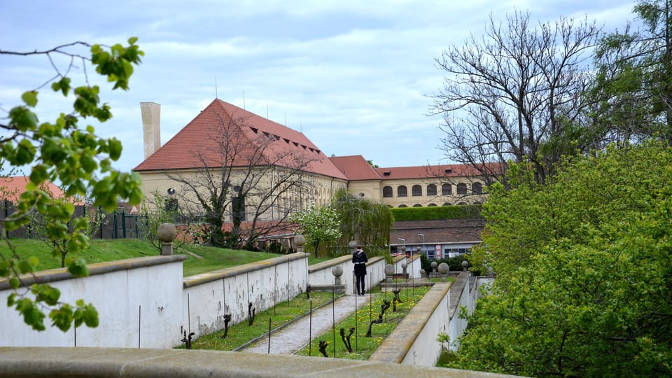 Plečnikova cesta na Masarykovu vyhlídku v horní části Jeleního příkopu | Foto: Jolana Nováková, Český rozhlas Plečnikova cesta na Masarykovu vyhlídku v horní části Jeleního příkopu | Foto: Jolana Nováková, Český rozhlas