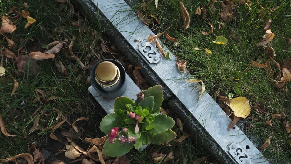 Německý evangelický hřbitov ve Strašnicích | Foto: Barbora Linková, Český rozhlas Německý evangelický hřbitov ve Strašnicích | Foto: Barbora Linková, Český rozhlas