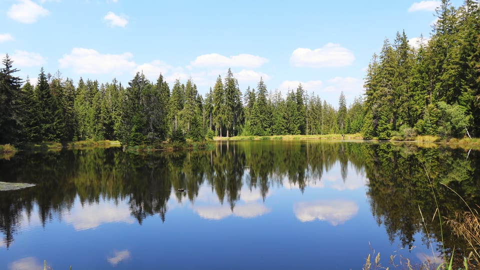 Slavkovský les | Foto: Naďa Krásná, Český rozhlas Slavkovský les | Foto: Naďa Krásná, Český rozhlas