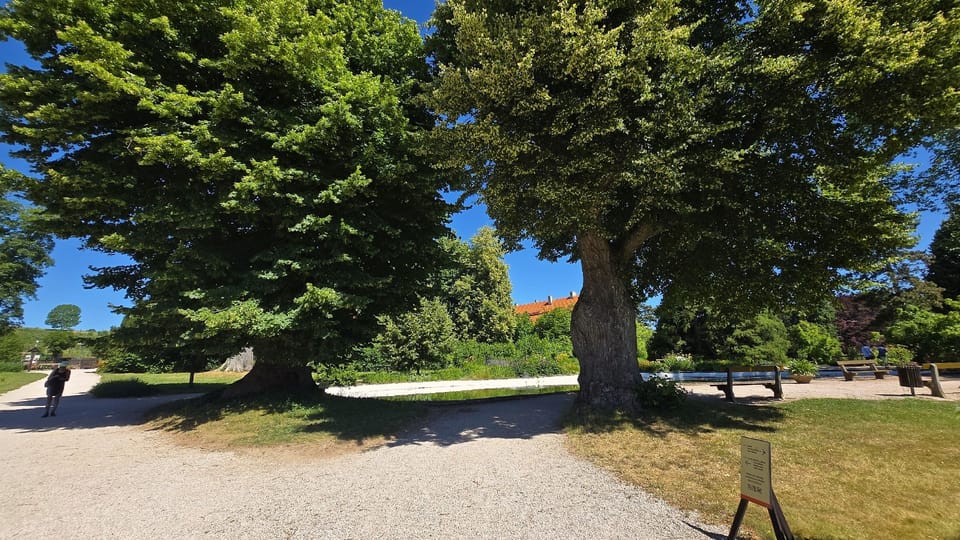 Foto: Vladislava Wildová,  Český rozhlas