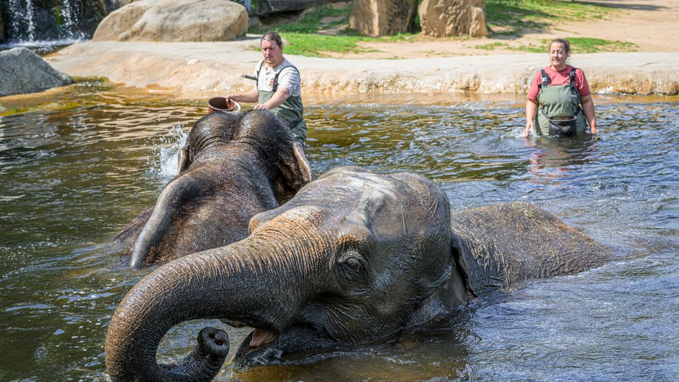 Foto: ZOO Praha