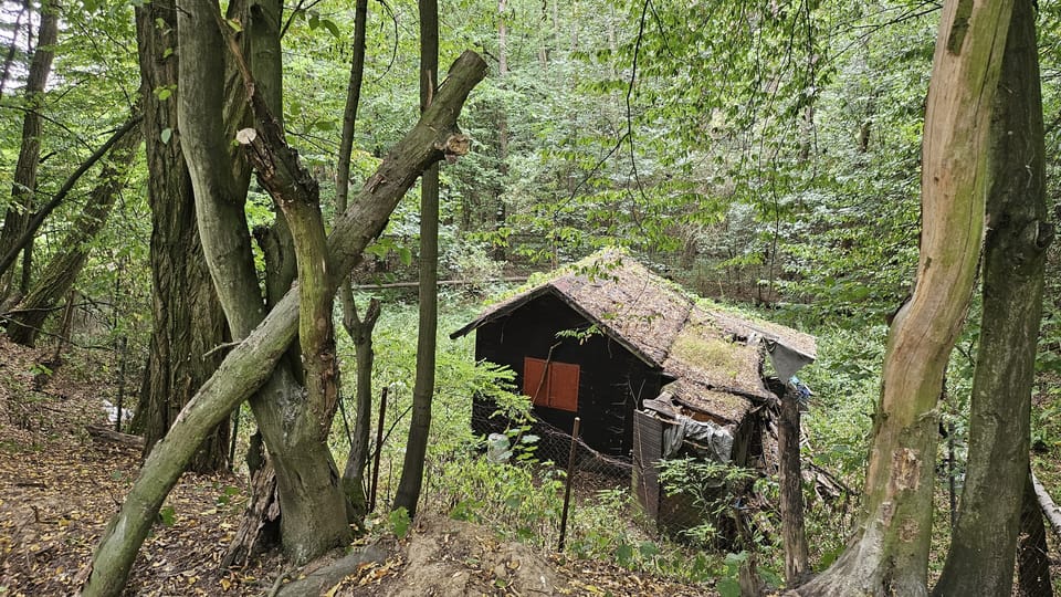 Malá lesní chatka jako pomníček a vzpomínka na slavnou předválečnou dobu českého skautingu | Foto: Klára Stejskalová, Radio Prague International Malá lesní chatka jako pomníček a vzpomínka na slavnou předválečnou dobu českého skautingu | Foto: Klára Stejskalová, Radio Prague International