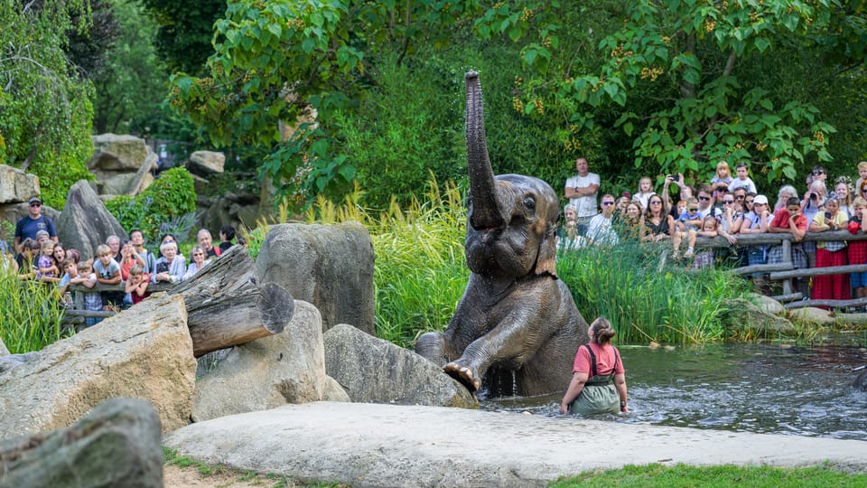 Foto: ZOO Praha Foto: ZOO Praha