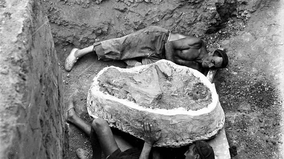 Foto: archiv Centra kulturní antropologie Foto: archiv Centra kulturní antropologie