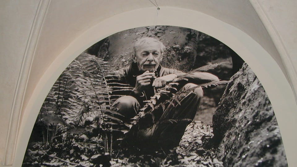 Foto: Martina Schneibergová,  Radio Prague International
