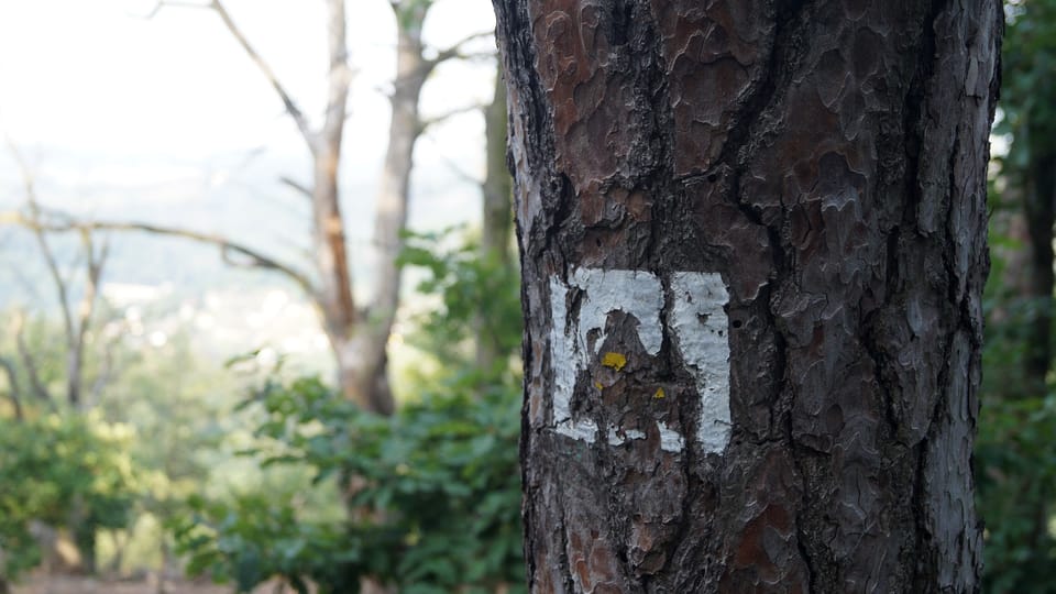 V minulosti vedla na vyhlídku Máj žlutě značená turistická stezka | Foto: Miloš Turek, Radio Prague International V minulosti vedla na vyhlídku Máj žlutě značená turistická stezka | Foto: Miloš Turek, Radio Prague International