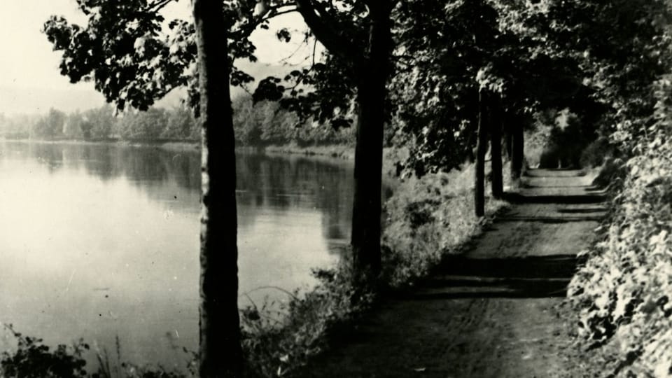 Dvořákova stezka | Foto: Výstava 'Antonín Dvořák - Inspirace přírodou'/Národní muzeum Dvořákova stezka | Foto: Výstava 'Antonín Dvořák - Inspirace přírodou'/Národní muzeum