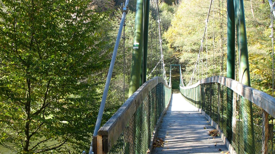 Národní park Podyjí, foto: Ľubomír Smatana, ČRo Národní park Podyjí, foto: Ľubomír Smatana, ČRo