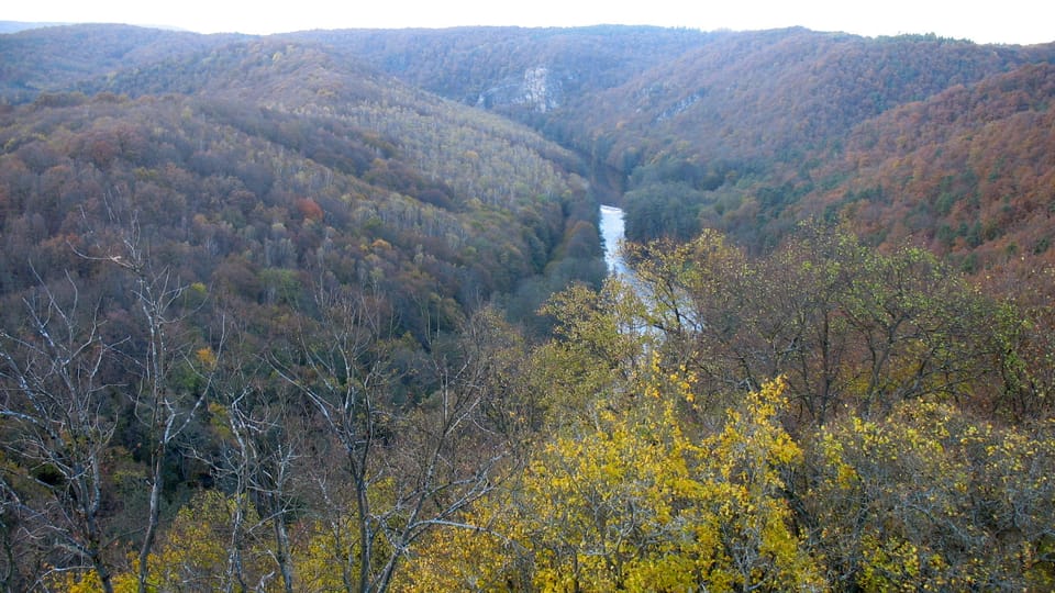 Národní park Podyjí, foto: Ľubomír Smatana, ČRo Národní park Podyjí, foto: Ľubomír Smatana, ČRo