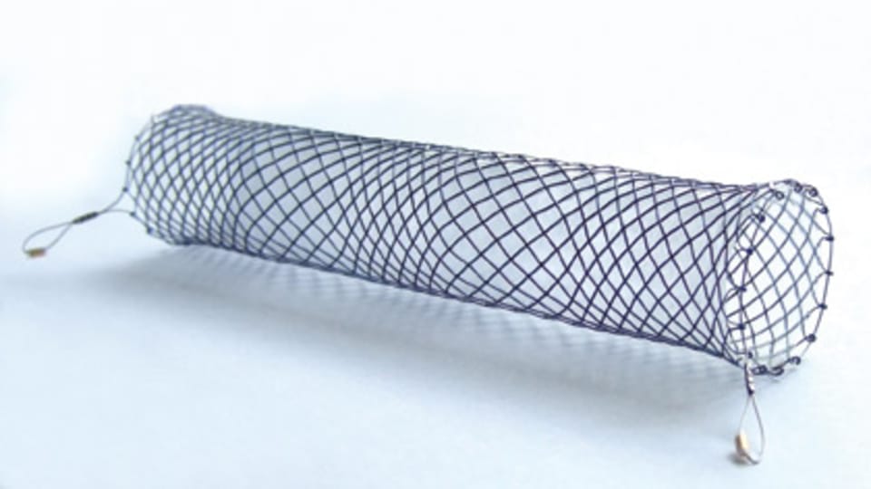 Jícnový stent firmy ELLA, foto: archiv Asociace výrobců a dodavatelů zdravotnických prostředků Jícnový stent firmy ELLA, foto: archiv Asociace výrobců a dodavatelů zdravotnických prostředků