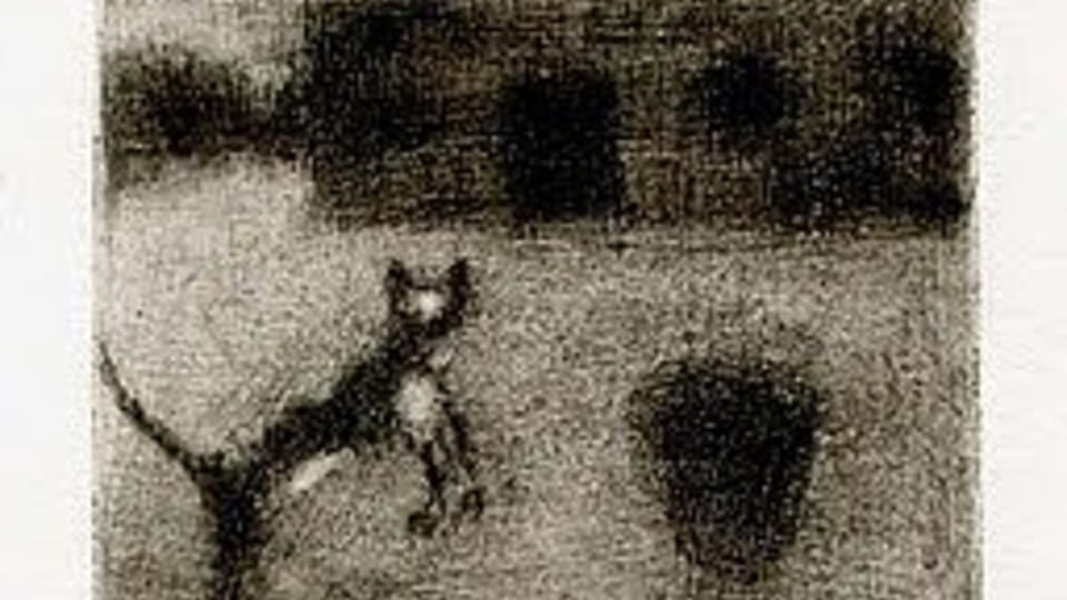 Kocour na dvoře Kocour na dvoře