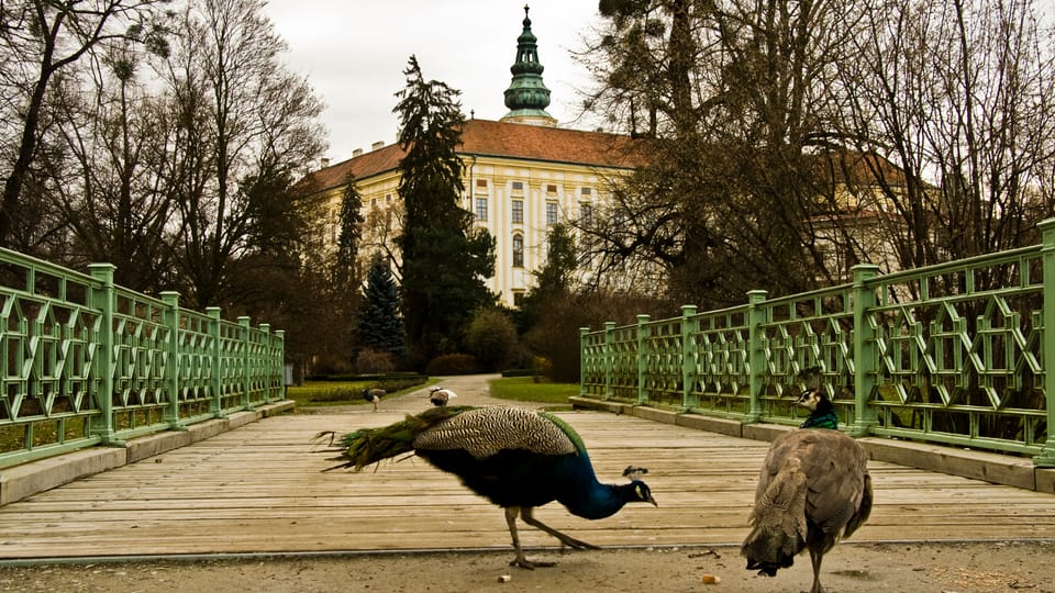 Zámek v Kroměříži | Foto: Vít Pohanka, Radio Prague International Zámek v Kroměříži | Foto: Vít Pohanka, Radio Prague International