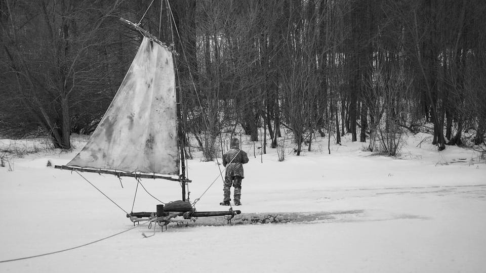 Nabarvené ptáče, foto: ČT Nabarvené ptáče, foto: ČT