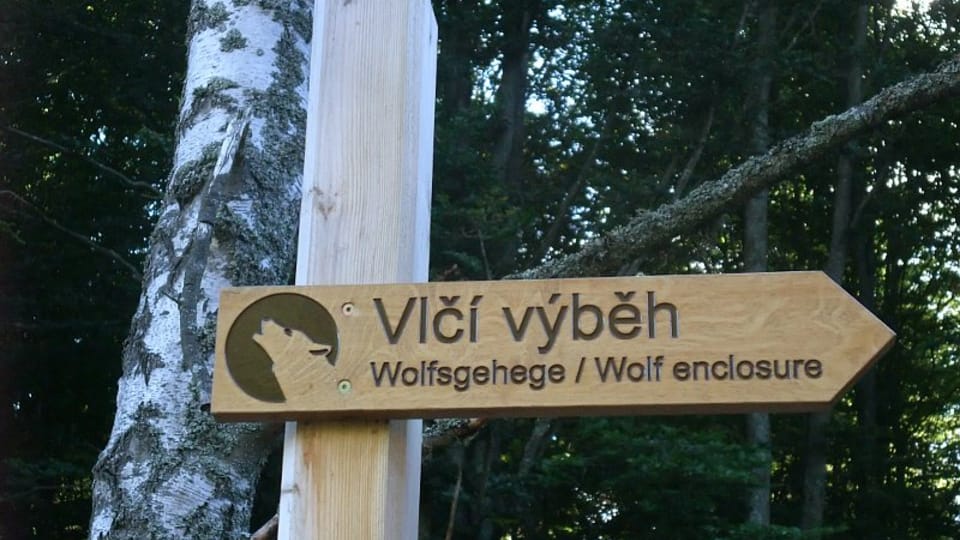 Návštěvnické centrum v Srní, foto: Martina Bílá Návštěvnické centrum v Srní, foto: Martina Bílá