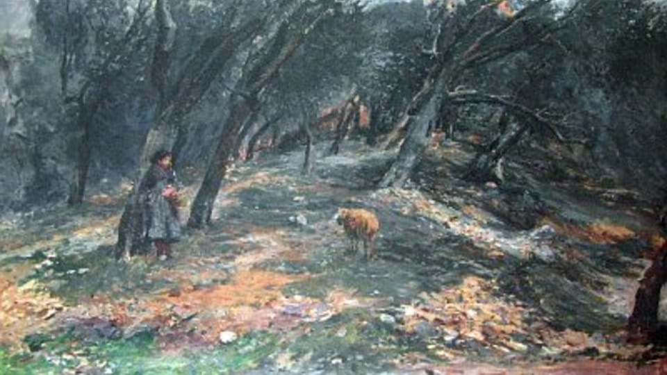 Olivový háj, 1896 Olivový háj, 1896