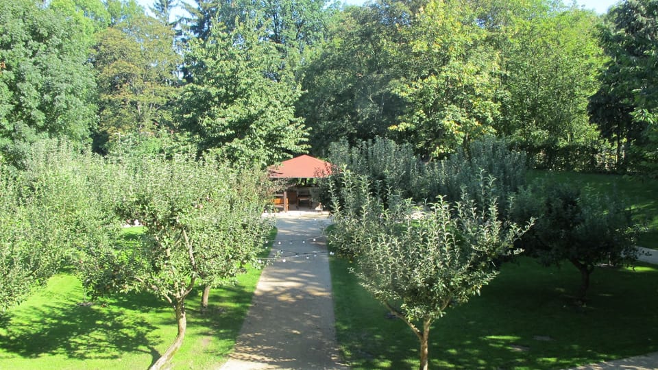 Zahrada u zámku, foto: Kateřina Ayzpurvit Zahrada u zámku, foto: Kateřina Ayzpurvit