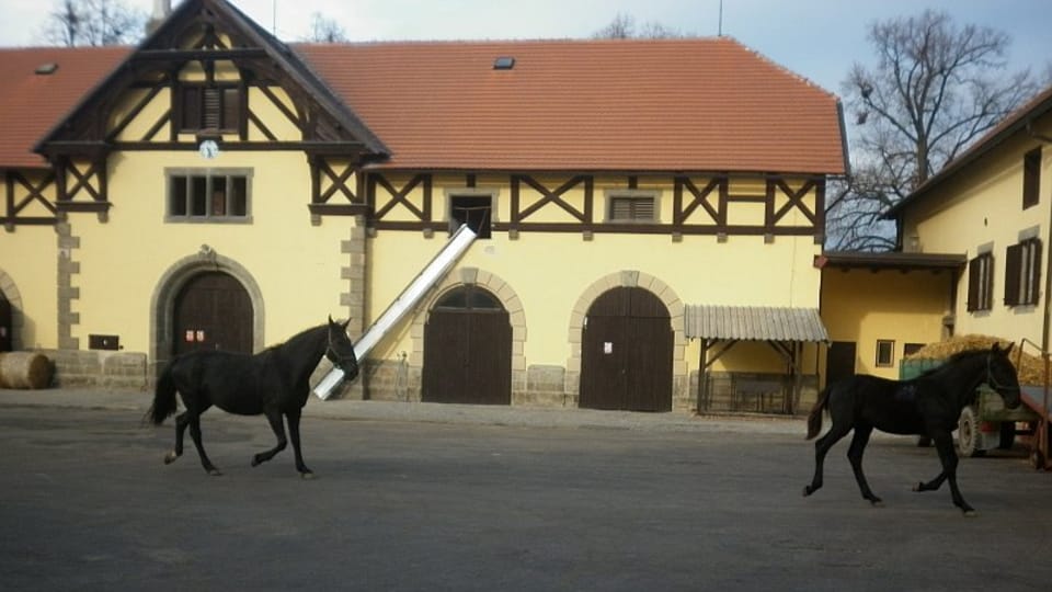 Hřebčín ve Slatiňanech, foto: Zdeňka Kuchyňová / Český rozhlas - Radio Praha Hřebčín ve Slatiňanech, foto: Zdeňka Kuchyňová / Český rozhlas - Radio Praha