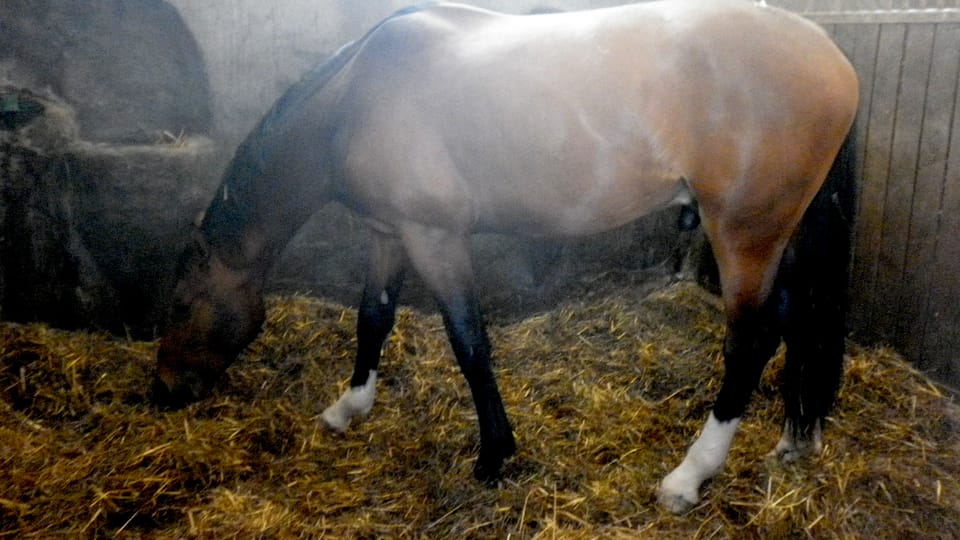 Foto: Zdeňka Kuchyňová Foto: Zdeňka Kuchyňová