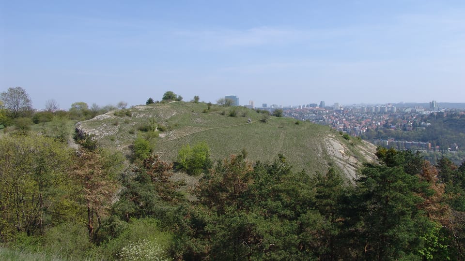 Žvahov - lezecká plotna v Prokopském údolí | Foto: Miloš Turek, Radio Prague International Žvahov - lezecká plotna v Prokopském údolí | Foto: Miloš Turek, Radio Prague International