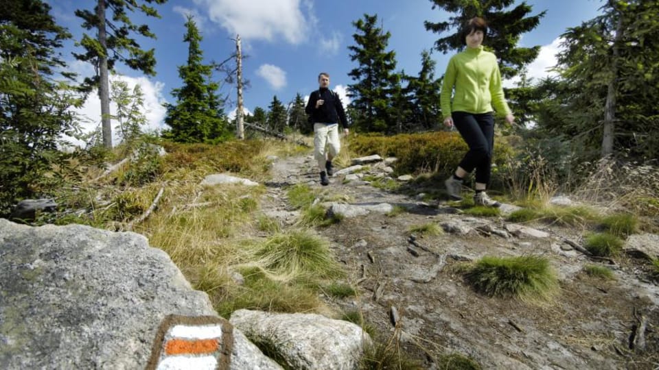 Držte se vyznačené trasy a nezabloudíte | Foto: Česká televize, ČT24 Držte se vyznačené trasy a nezabloudíte | Foto: Česká televize, ČT24