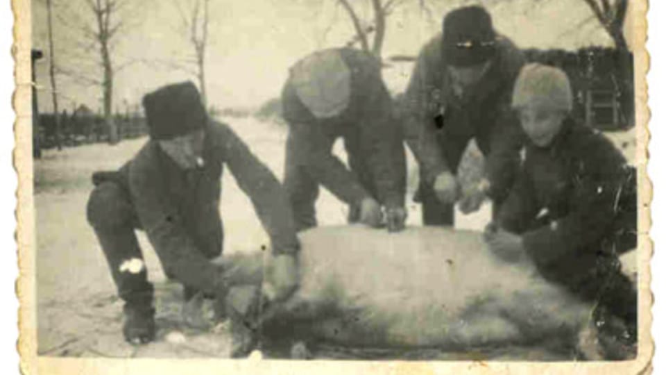 Zabíjačka,  foto z archivu Josefa Zajíce