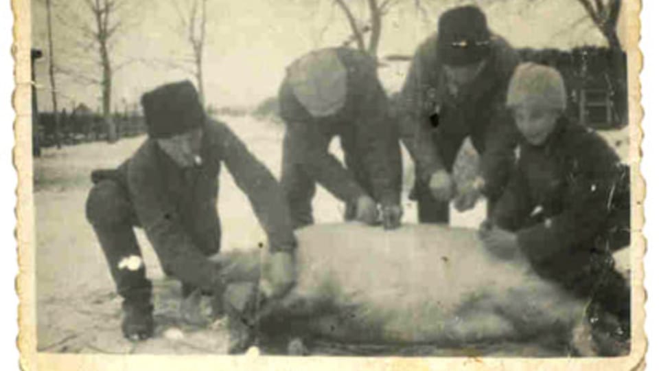 Zabíjačka, foto z archivu Josefa Zajíce Zabíjačka, foto z archivu Josefa Zajíce