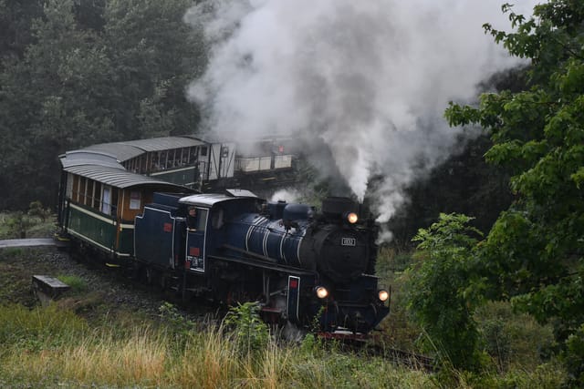 Spolek Slezské zemské dráhy provozuje parní vlaky na úzkorozchodce Třemešná-Osoblaha | Foto: Břetislav Tureček,  Radio Prague International