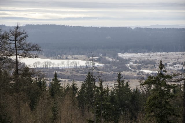 Výhled z vrchu Kočka na Dolní Parťský rybník v CHKO Brdy | Foto: Roman Krompolc,  ČTK