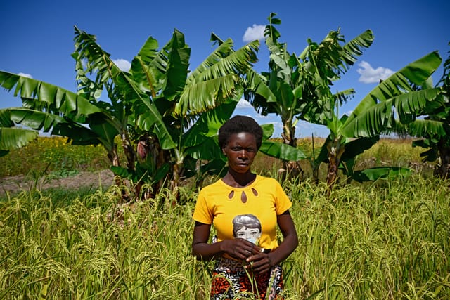 Charita v Zambii bojuje proti změnám klimatu za pomoci inovací | Foto: Charita ČR