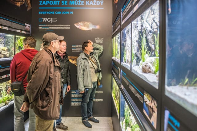Rybí archa | Foto: ZOO Plzeň