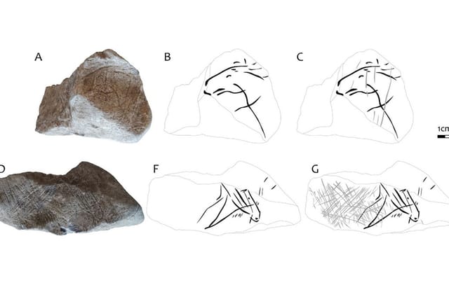 Rozbor rytin na vápencovém bloku z jeskyně Švédův stůl | Foto: Langley,  M.C.,  Škrdla,  P.,  Kmošek,  M. et al. Engraved Limestone Block from Švédův stůl Cave,  Czech Republic,  2026/ARÚ AV ČR