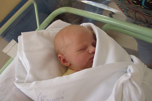 Foto: Kristýna Maková,  Radio Prague Int.